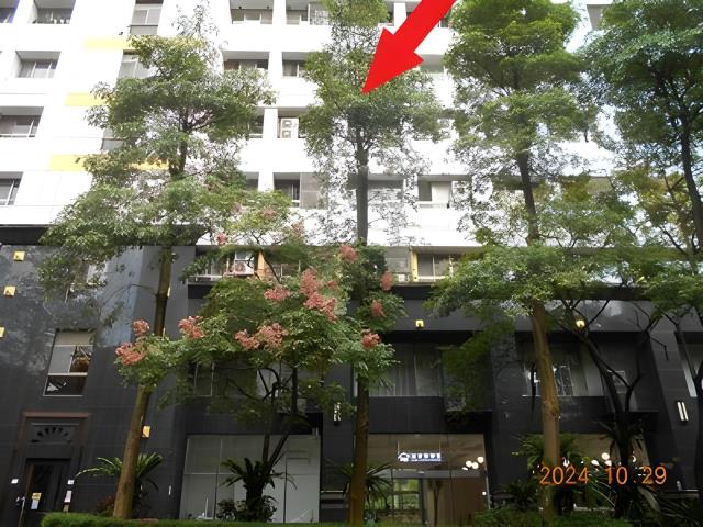 信義區拍賣大樓-0